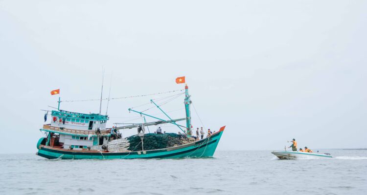 Cà Mau: Quyết liệt trong phòng, chống khai thác IUU