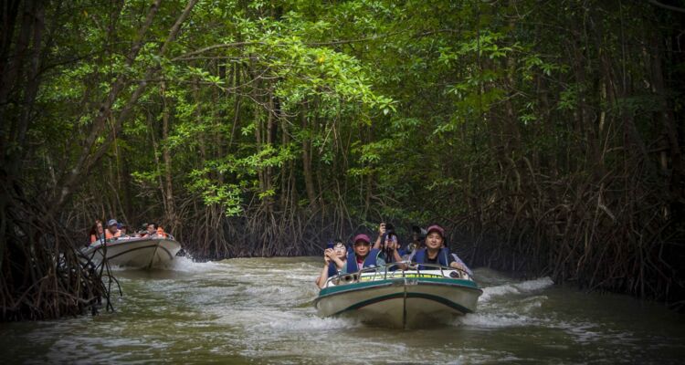 Trên 1,6 triệu lượt khách đến Cà Mau trong 9 tháng năm 2024