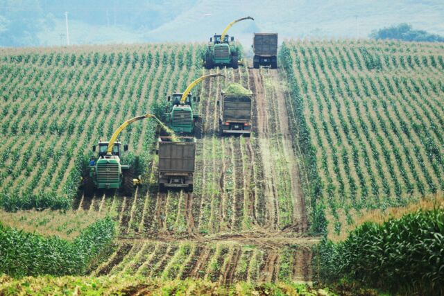 Trang trại TH tại Nghĩa Đàn (Nghệ An) đang áp dụng những giải pháp thiết thực để hướng đến Net Zero