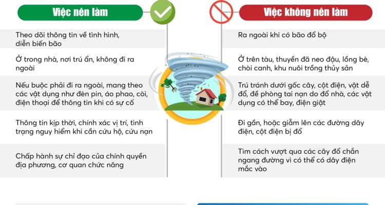 Infographics: Những việc nên làm khi bão đổ bộ