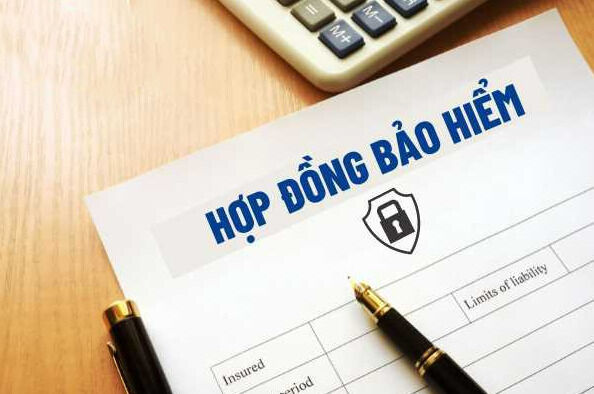 10 Luật có hiệu lực thi hành từ ngày 1/7/2024- Ảnh 2.