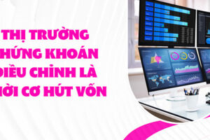 Thị trường chứng khoán điều chỉnh là thời cơ hút vốn