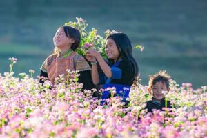 Hà Giang: Sẵn sàng đón du khách mùa Lễ hội hoa tam giác mạch lần thứ X