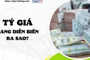 Tỷ giá đang diễn biến ra sao?