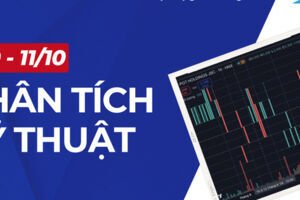 Xu hướng tăng của cổ phiếu tuần 2 tháng 10 hứa hẹn khởi sắc thời gian tới