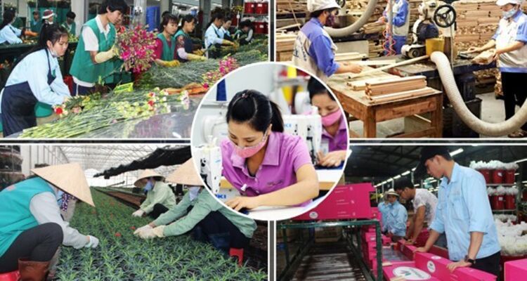 Nhiều doanh nghiệp chưa sẵn sàng mở rộng kinh doanh