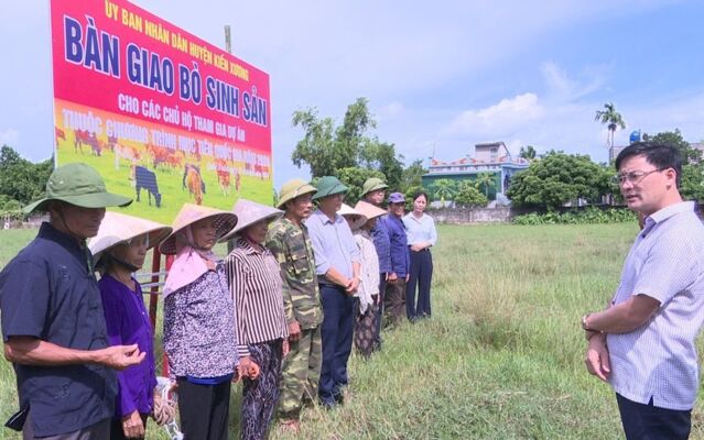 Ghi nhận từ mô hình hỗ trợ bò sinh sản cho hộ nghèo