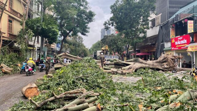 Hà Nội: Tập trung cao độ khắc phục kịp thời thiệt hại do bão số 3- Ảnh 3.