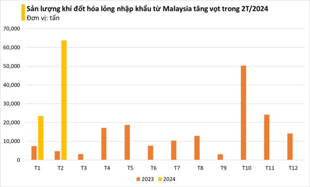 Việt Nam tăng nhập khí đốt hóa lỏng của Malaysia- Ảnh 2.