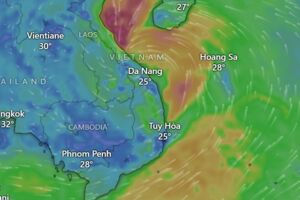 Phó Thủ tướng Trần Hồng Hà chỉ đạo công tác ứng phó với bão số 6