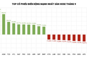 Trôi 'ngược dòng' tháng 9: SMC trượt dài, APH, NVL rớt xuống đáy