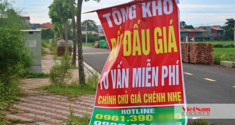 Đấu giá đất vùng ven Hà Nội: 'Show diễn bài ca tăng giá xuyên đêm'