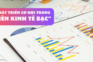 Phát triển cơ hội trong "Nền kinh tế bạc"