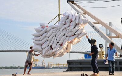 Xuất khẩu gạo Việt Nam năm 2024 lập mốc kỷ lục mới cả về khối lượng và kim ngạch