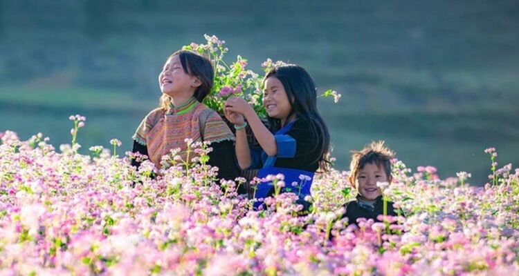 Hà Giang: Sẵn sàng đón du khách mùa Lễ hội hoa tam giác mạch lần thứ X