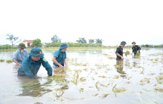 Kiểm tra công tác ứng phó với mưa lũ tại huyện Ba Vì- Ảnh 4.