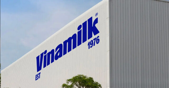 Vinamilk - đại diện duy nhất từ ngành sữa Việt Nam trong danh sách Fortune 500 Đông Nam Á- Ảnh 1.