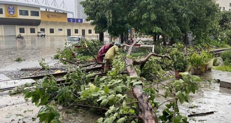 22 chuyến tàu khách phải dừng do ảnh hưởng bão số 3