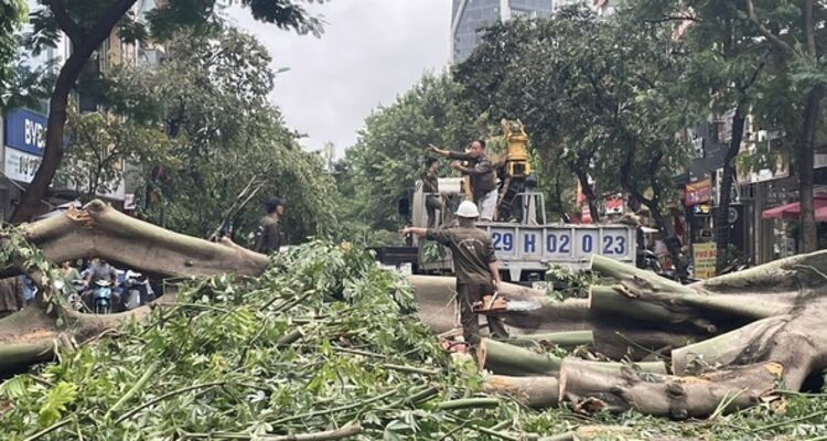 Hà Nội: Tập trung cao độ khắc phục kịp thời thiệt hại do bão số 3