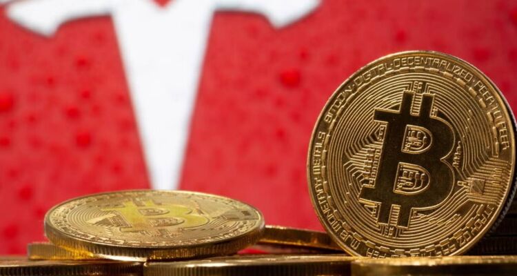 Giá Bitcoin hôm nay 25/10: Số ví "cá voi" Bitcoin cao kỷ lục