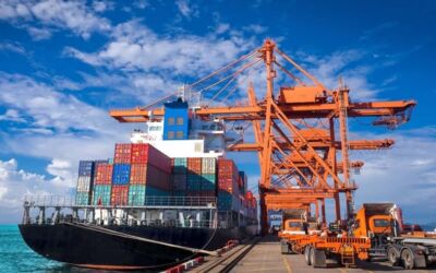 Xuất nhập khẩu hàng hóa Việt Nam - Nhật Bản năm 2024 đạt 48,18 tỷ USD
