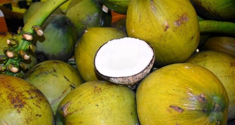 Ngành dừa vươn xa với 4 nhóm sản phẩm chủ lực