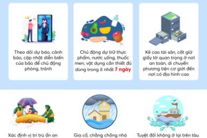 Infographics: Kỹ năng cần biết để ứng phó với mưa bão