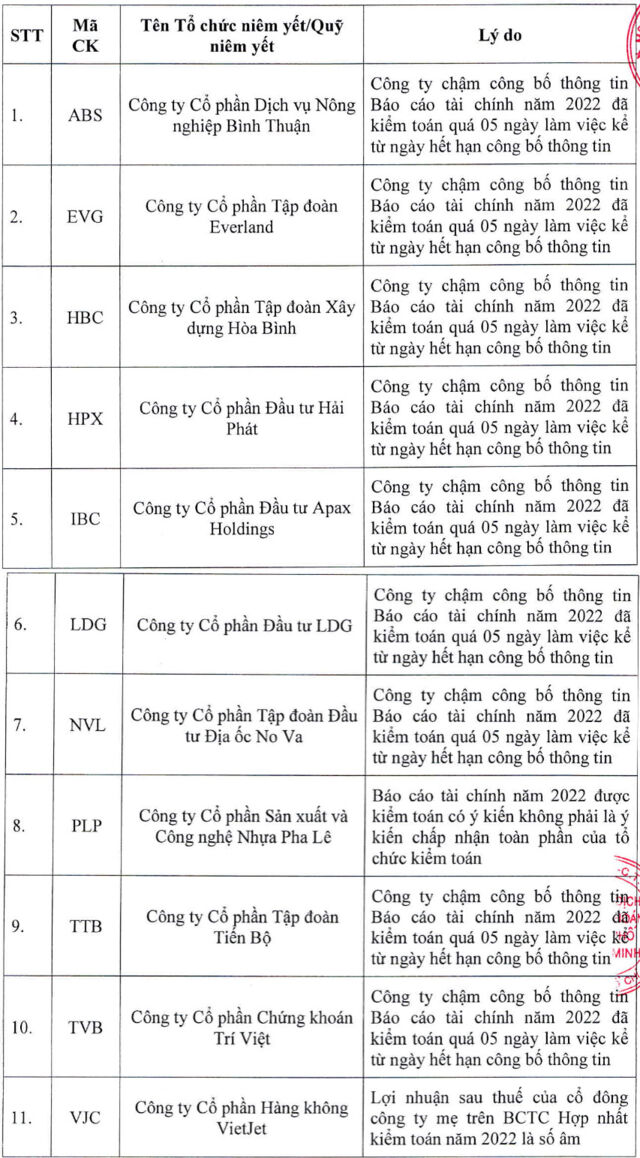 Chậm nộp báo cáo tài chính, cổ phiếu HBC sẽ bị đưa vào diện kiểm soát - Ảnh 2.