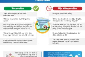 Infographics: Những việc nên làm khi bão đổ bộ