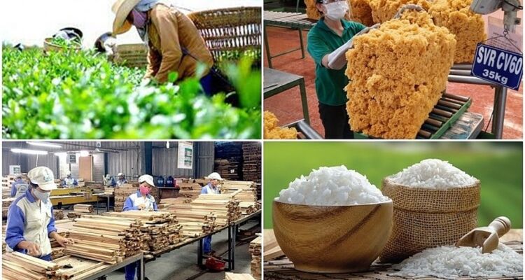 Ngành nông nghiệp xuất siêu đạt 11,8 tỷ USD trong 8 tháng năm 2024