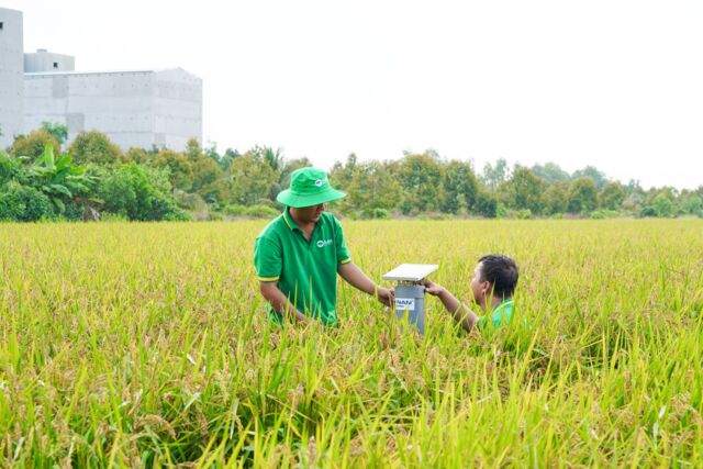 Mong đợi từ những cánh đồng lúa chất lượng cao, phát thải thấp- Ảnh 2.