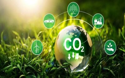 Cơ hội và thách thức cho Việt Nam khi tham gia thị trường carbon