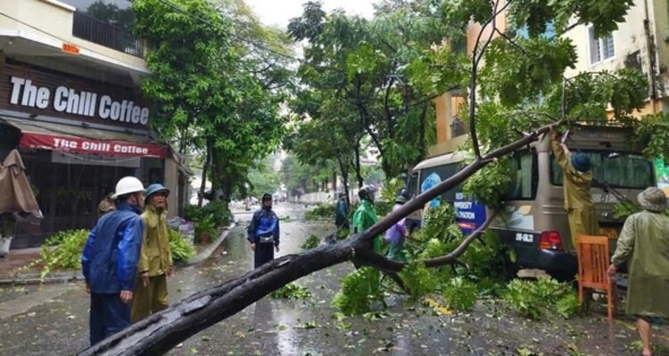 Hà Nội: Người dân Thủ đô chung tay khắc phục hậu quả bão số 3