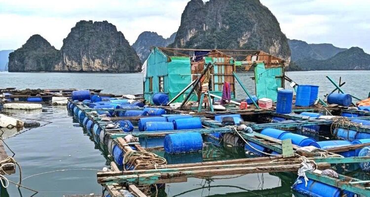 Trắng tay vì bão: 'Biển lấy đi bao nhiêu sẽ gắng sức gấp 10 để lấy lại'