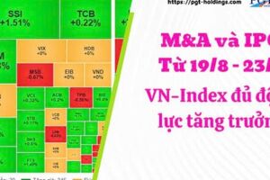 M&A và IPO (Từ 19/8 - 23/8): VN-Index đủ động lực tăng trưởng