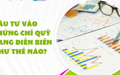 Đầu tư vào chứng chỉ quỹ đang diễn biến như thế nào?