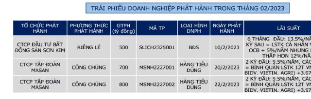 Tháng 2 có 2 doanh nghiệp phát hành trái phiếu thành công - Ảnh 2.