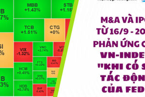 M&A và IPO (Từ 16/9 - 20/9): Phản ứng của thị trường "khi có sự tác động của Fed"