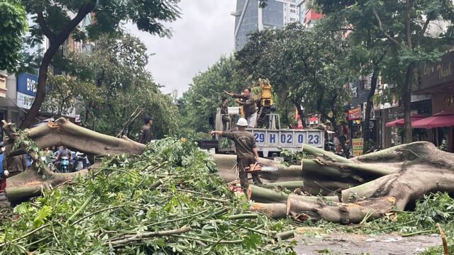 Hà Nội: Tập trung cao độ khắc phục kịp thời thiệt hại do bão số 3- Ảnh 2.