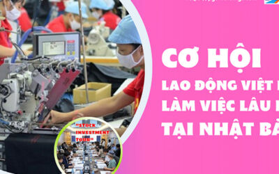 Cơ hội lao động Việt Nam làm việc lâu dài tại Nhật Bản