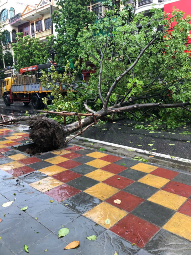 Thái Bình: Triển khai đồng loạt nhiều giải pháp ứng phó bão số 3- Ảnh 5.