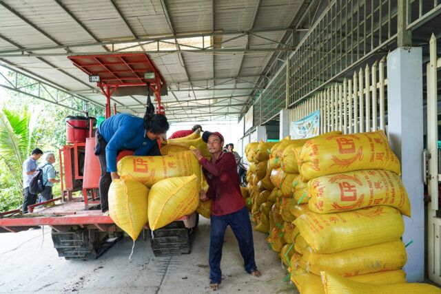 Mong đợi từ những cánh đồng lúa chất lượng cao, phát thải thấp- Ảnh 7.