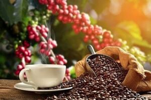 Xuất khẩu top đầu thế giới, người Việt vẫn mơ 1 ly cà phê thật và sạch