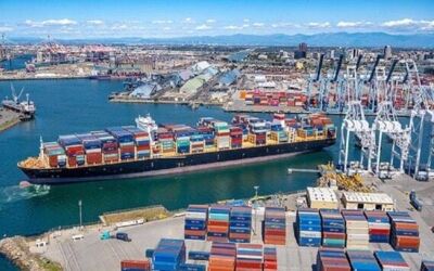 Kim ngạch thương mại Việt Nam-Brazil dự kiến đạt 8 tỷ USD