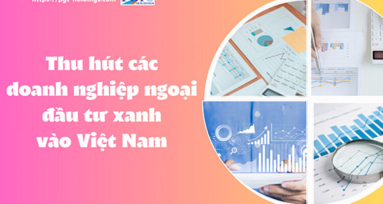 Thu hút các doanh nghiệp ngoại đầu tư xanh vào Việt Nam