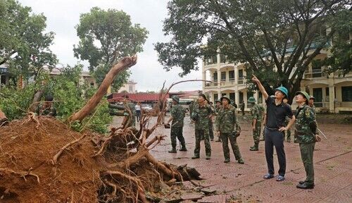 http://sontay.hanoi.gov.vn/documents/730044/0/z5808809032869_1523a912ceed889f325c415669a8d6a0+%28Copy%29.jpg/78582c00-00dd-4388-b74a-e938a690155d?t=1725768605997