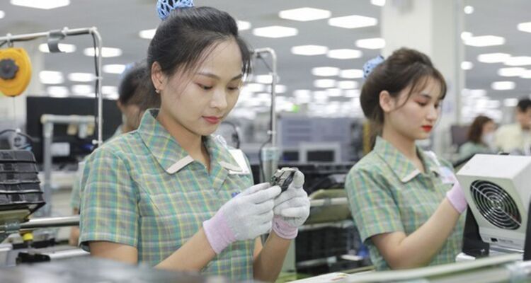 Công bố Top 500 doanh nghiệp lớn nhất Việt Nam năm 2024