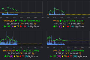 VN-Index mất gần 10 điểm, nhà đầu tư ồ ạt bán ra