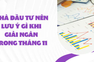 Nhà đầu tư nên lưu ý gì khi giải ngân trong tháng 11