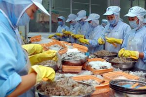 4 thị trường tiềm năng của thủy sản Việt Nam năm 2025